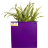 JARDINERAS PERSONALIZADAS - Imagen 2